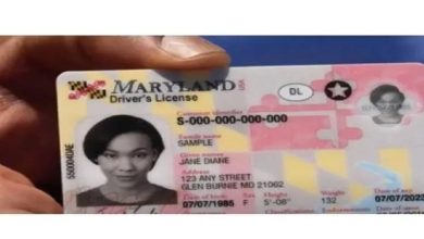 The Real Maryland ID: A Comprehensive Guide