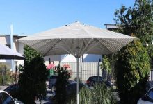 Umbrella