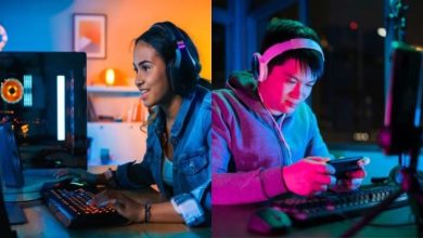 What Drives Interest in Online Gaming